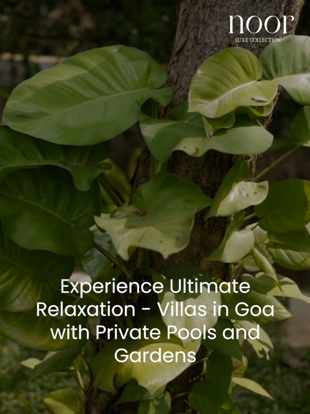 Luxury Villas in Goa with Private Pools and Gardens | Ultimate Relaxation | Villas by noor